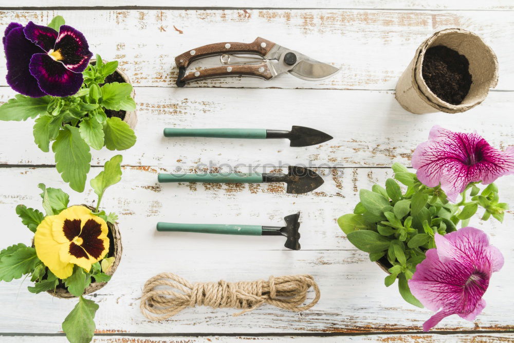 Similar – Garden hand tools and flowerpots