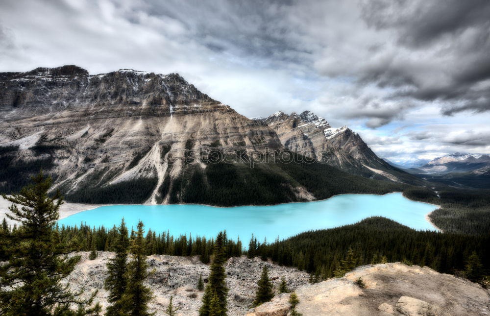 Peyto Lake Canada