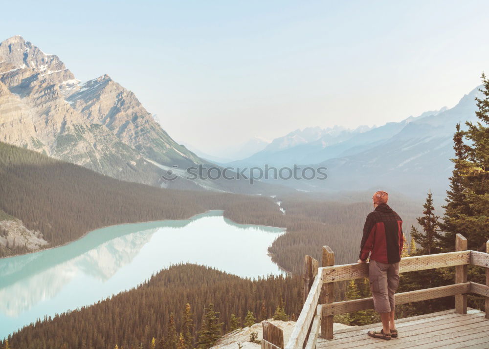Similar – Image, Stock Photo amazement
