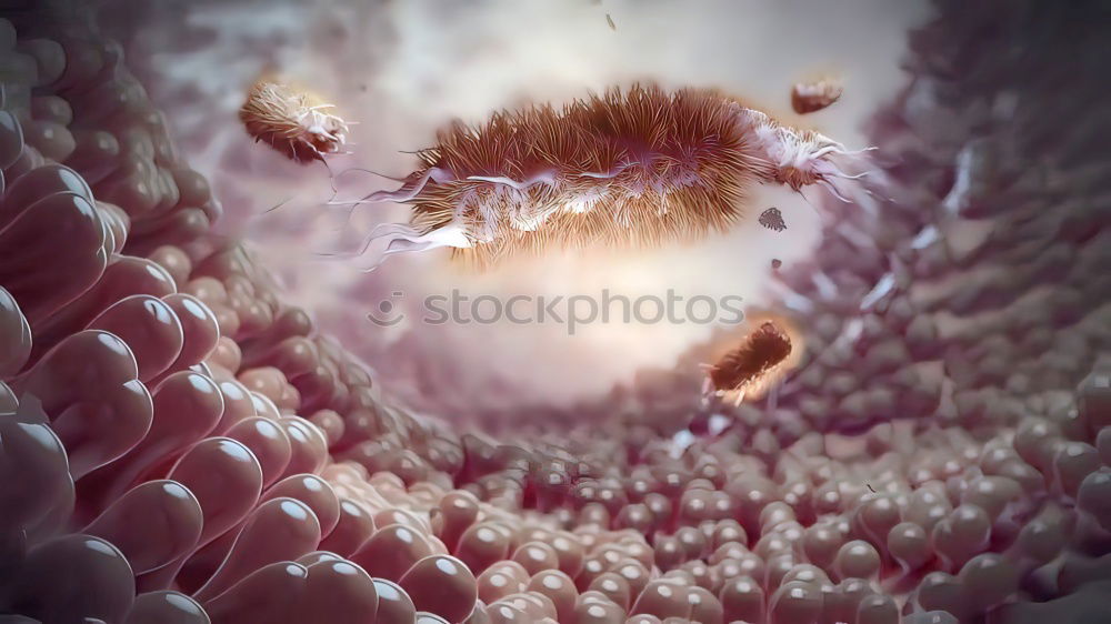 Similar – Image, Stock Photo docked Nature Plant Autumn