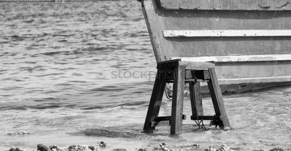 Similar – Image, Stock Photo fresh breeze Beach Ocean