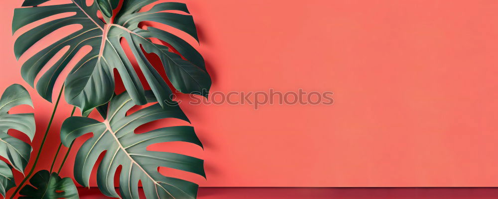 Similar – Image, Stock Photo primeval forest Plant