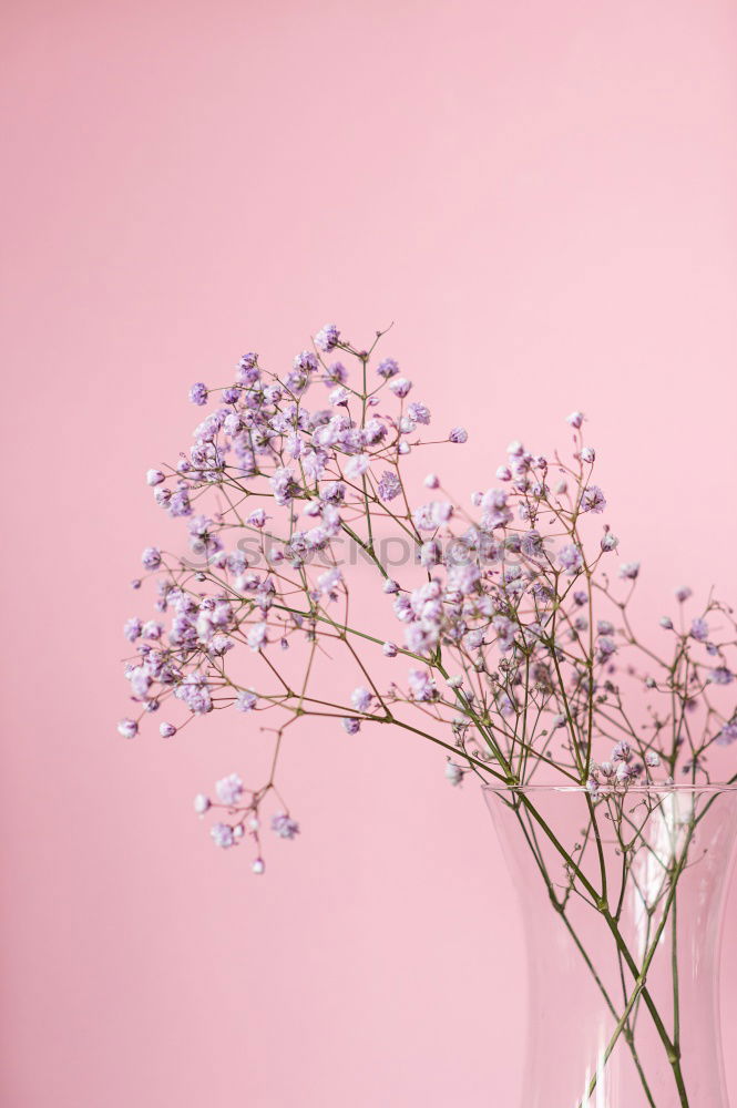 Similar – Image, Stock Photo Open envelope envelope with pastel flowers and petals