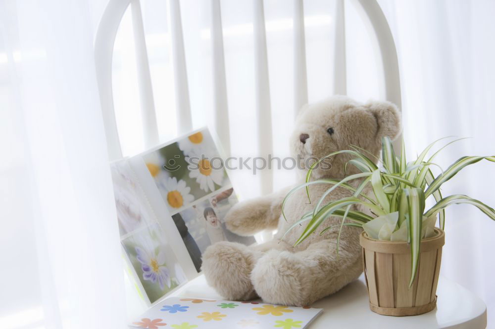 Similar – Teddy bear in a baby room