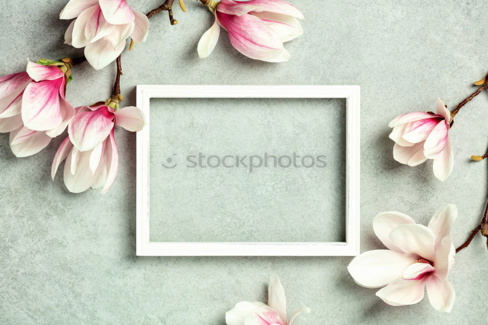 Similar – Image, Stock Photo Empty white greeting card on white flowers