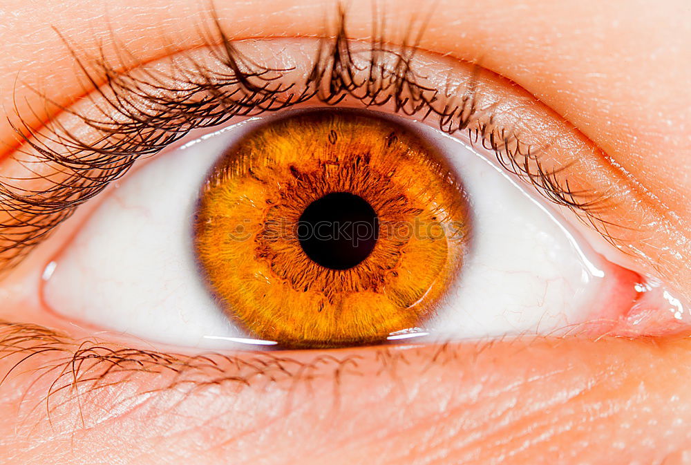 Similar – Image, Stock Photo Macro of a woman’s blue eye