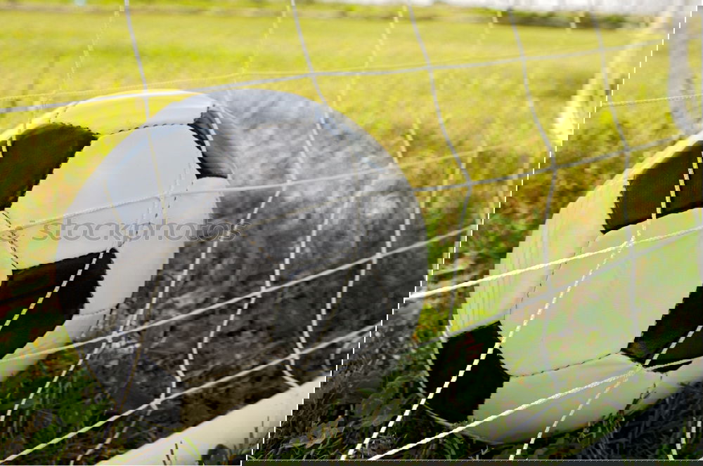 Similar – Image, Stock Photo Season has begun Grass