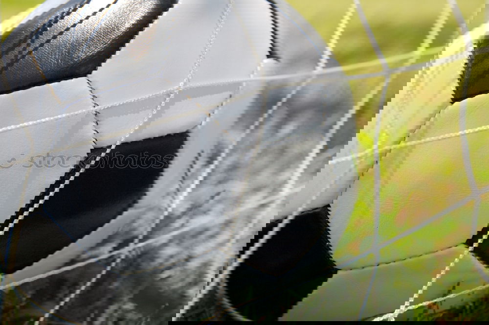 Similar – Image, Stock Photo Season has begun Grass