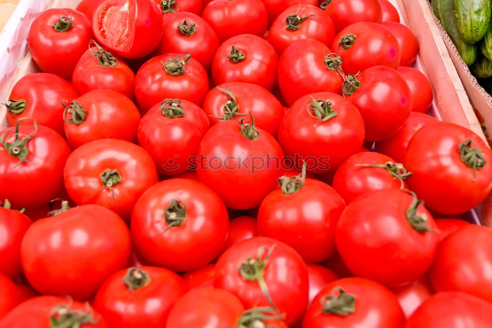 Background with fresh red tomatos