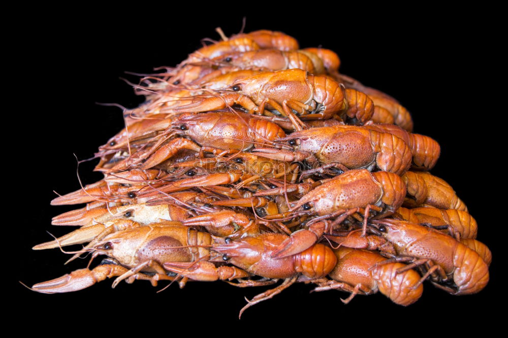 Similar – Image, Stock Photo prawns Food Seafood