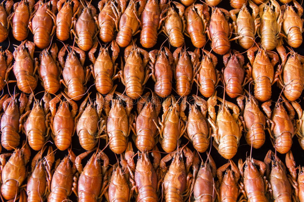 Similar – shells on the beach Food