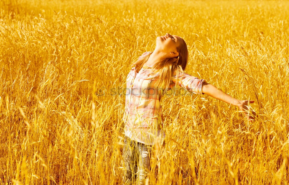 Similar – feelings. Woman Cornfield