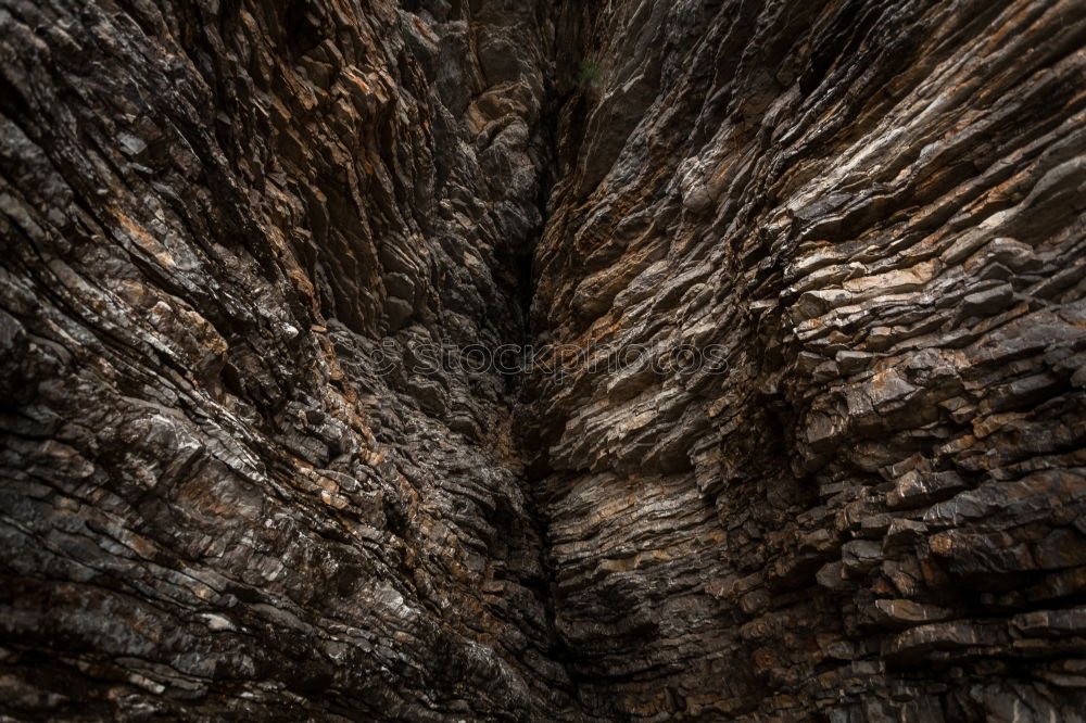 Similar – Holz vor der Hütte braun