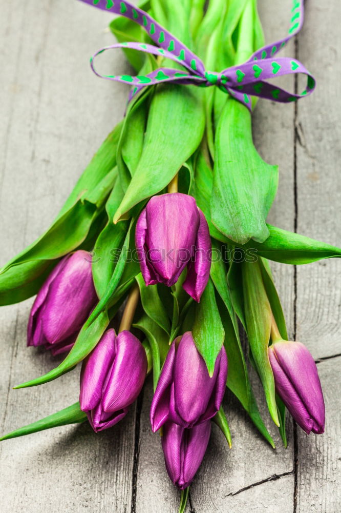 Similar – Pink Tulips On Turquoise Wood Table