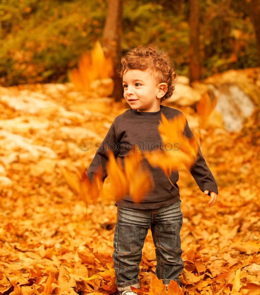 Similar – Image, Stock Photo Cute boy shows a leaf in autumn in the forest