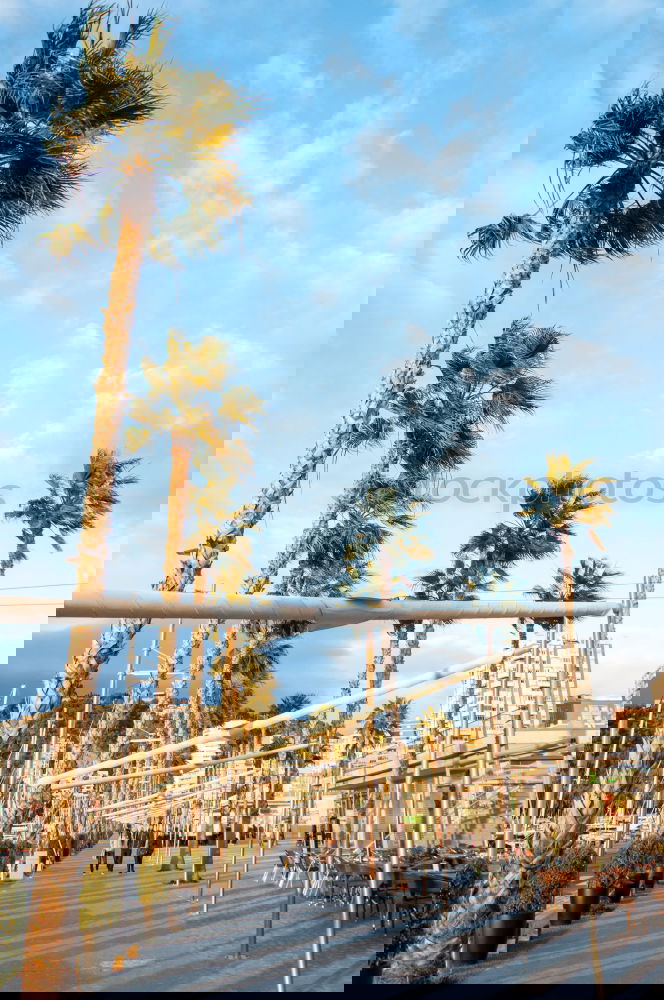 Similar – Foto Bild Kehma Natur