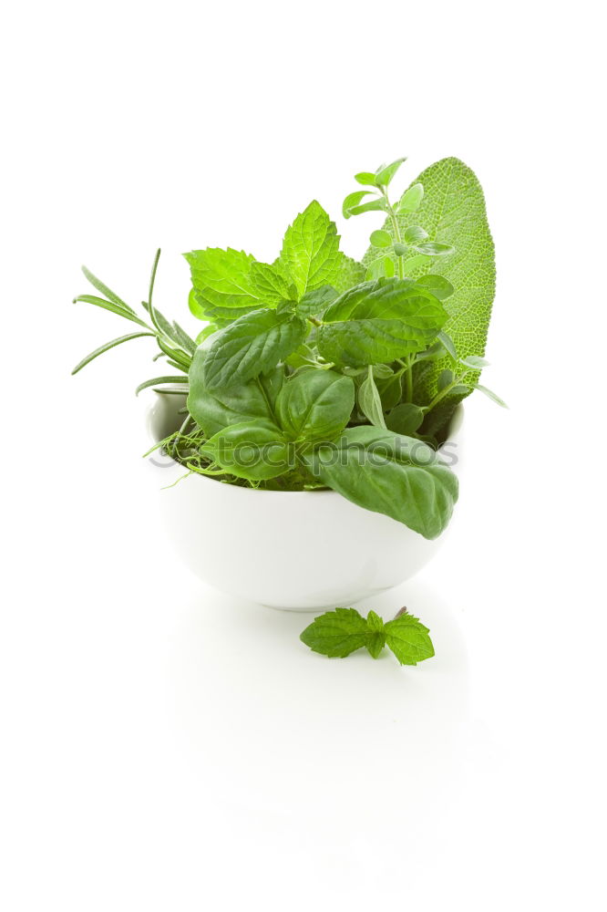 Similar – Image, Stock Photo Herbal tea from fresh nettle