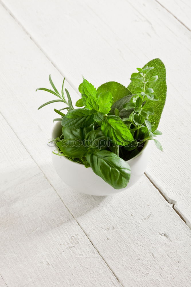 Similar – Image, Stock Photo Basil day Food Nutrition