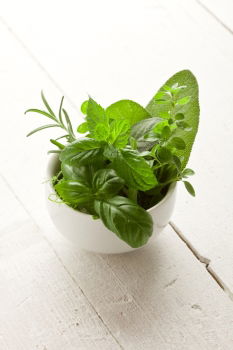 Image, Stock Photo basil Food