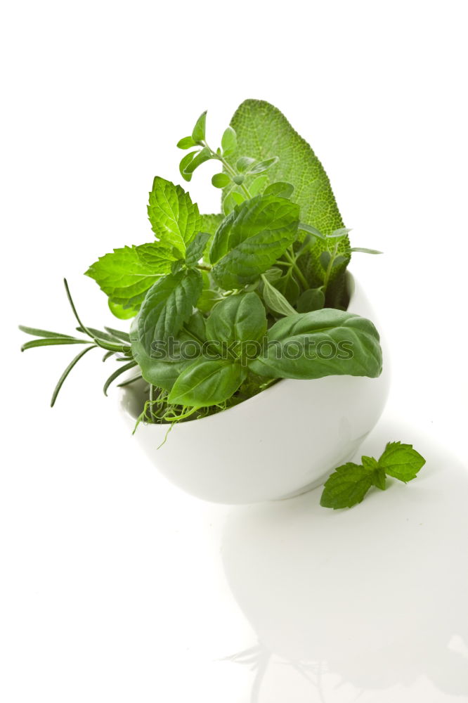 Similar – Image, Stock Photo Spinach, oil and grater with nutmeg