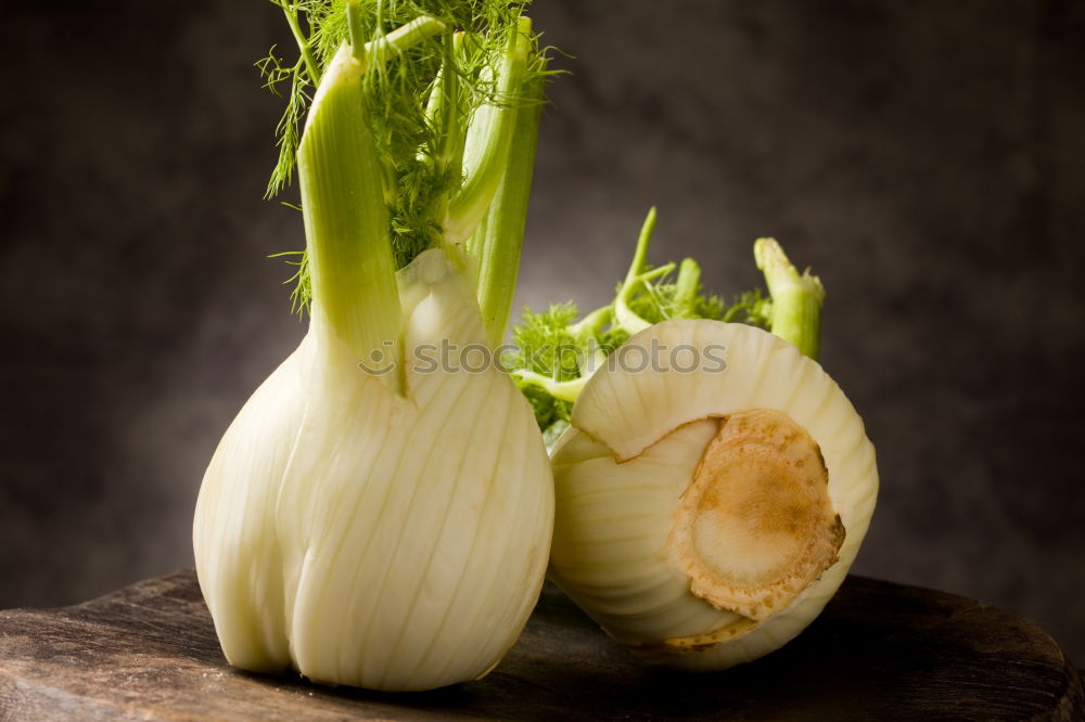 Similar – Seasonal vegetables on a dark background