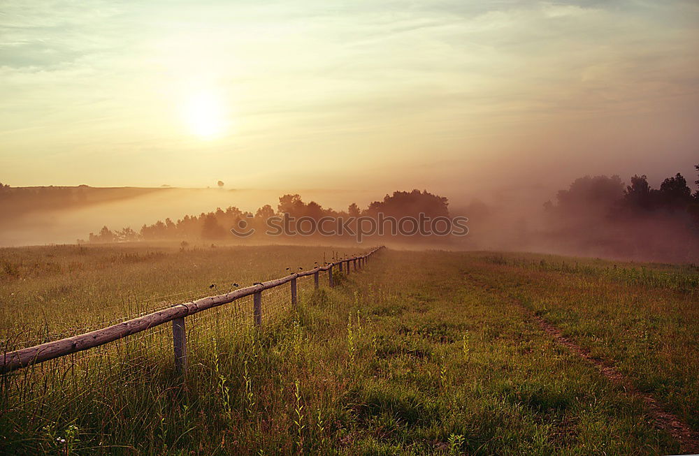 Similar – Image, Stock Photo occident Street lighting