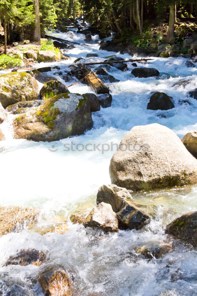 Similar – Image, Stock Photo Mountain river valley landscape