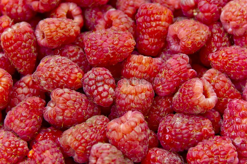 Similar – Himbeeren lecker süß