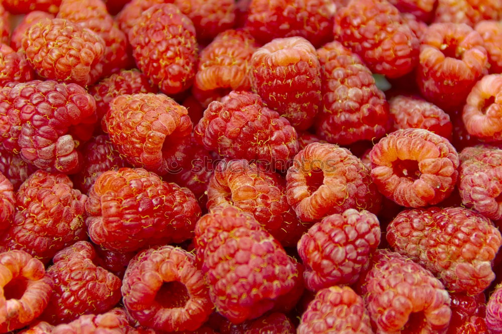 Similar – Image, Stock Photo raspberries Food Fruit