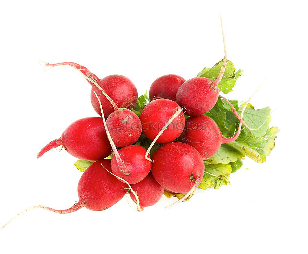Similar – Image, Stock Photo Radish on dark background