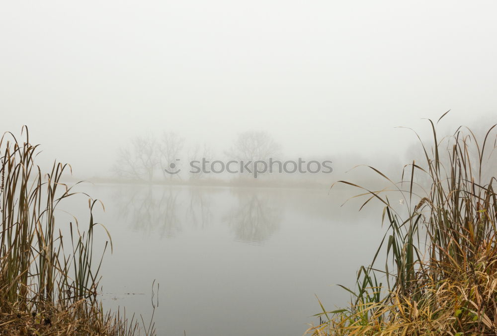 Similar – Foto Bild das frühjahrshochwasser