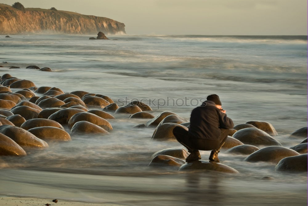 Similar – Woman sitting with dog in the dunes on the North Sea coast