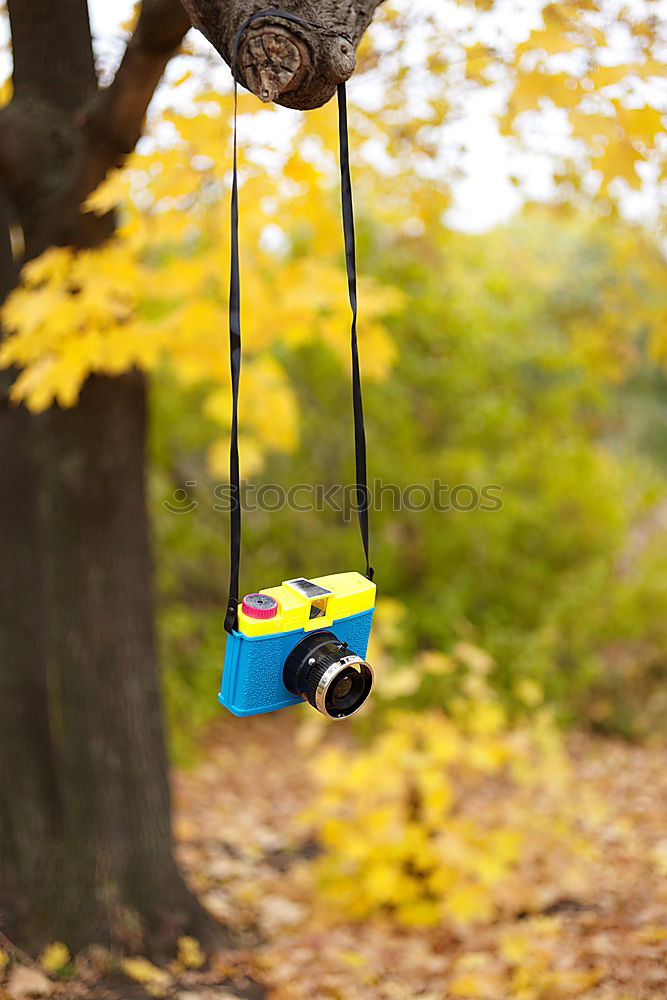 Similar – Image, Stock Photo found pacifier hangs visibly on an improvised fence made of rusty construction steel mats. Baby pacifier