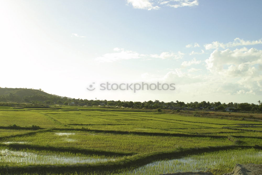Image, Stock Photo ser un campo muy amplio