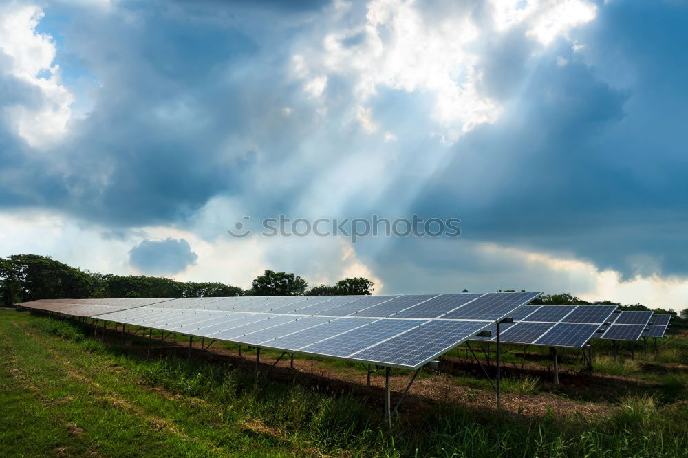 Similar – Image, Stock Photo sun canopy