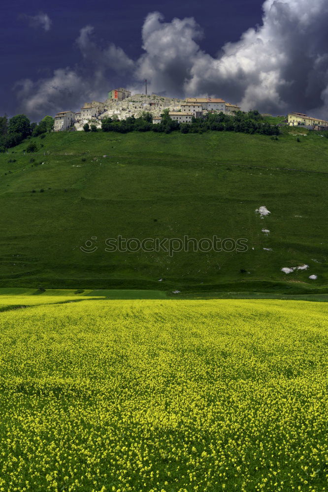 Similar – Spring in the fields of Tuscany in the sunset