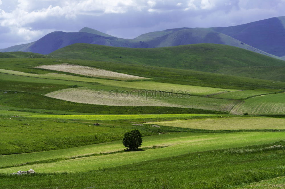 Similar – Altai Natur Landschaft