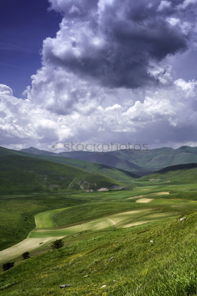 Similar – Image, Stock Photo Mori Nature Landscape