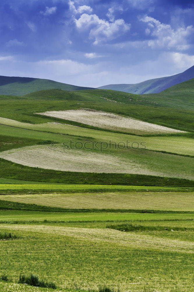 Similar – Image, Stock Photo Behind the Wall Nature