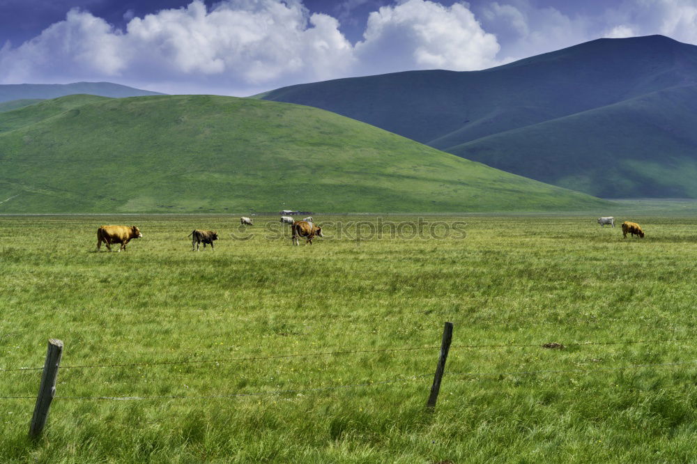 Similar – Icelanders Environment