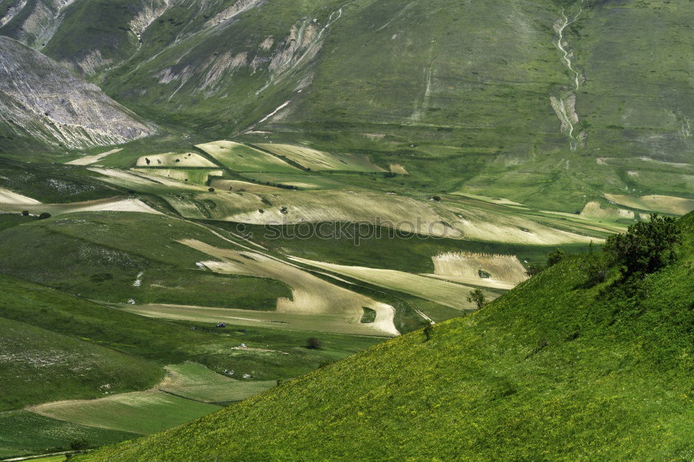 Similar – Image, Stock Photo Swiss Early Fog