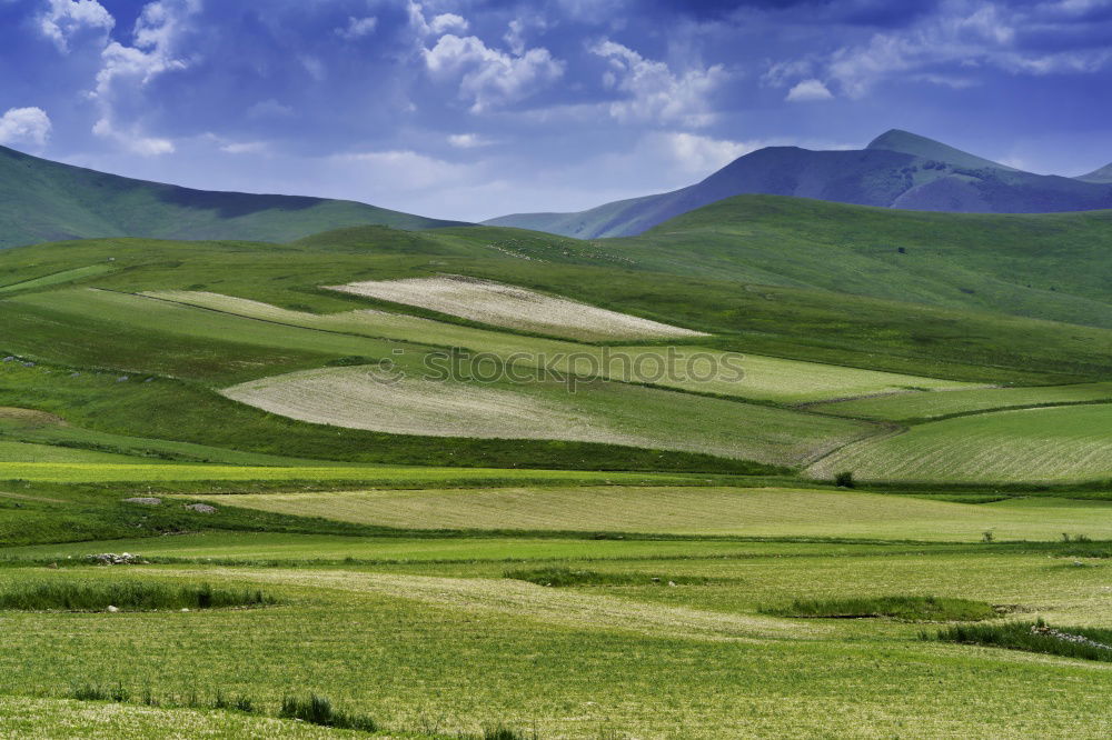 Similar – Image, Stock Photo Sky over New Zealand