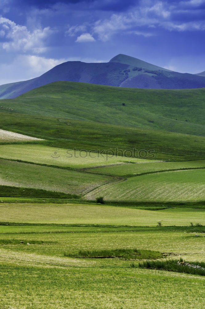 Similar – Image, Stock Photo Behind the Wall Nature