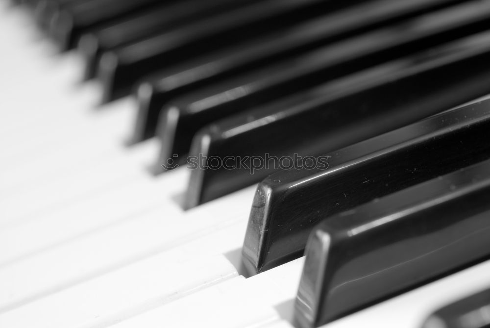 Similar – Image, Stock Photo mon piano Keyboard Piano