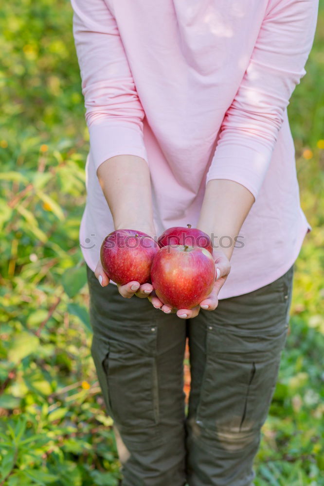 Similar – Image, Stock Photo chestnut gatherer Child