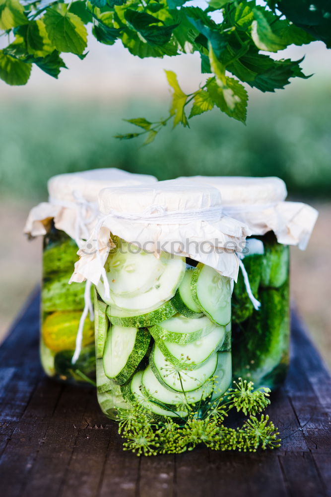 Image, Stock Photo Pickled cucumbers made with home garden vegetables and herbs
