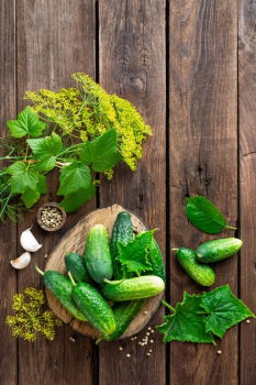 Similar – Image, Stock Photo Mix of fruits and vegetables in green color