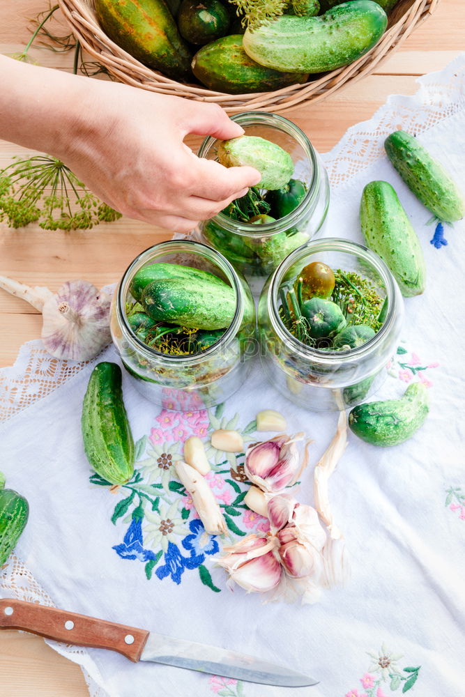 Similar – Pickling cucumbers with home garden vegetables and herbs