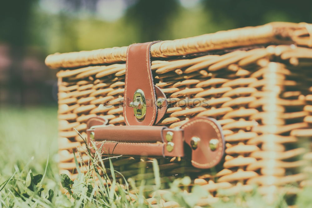 Picnic Basket Hamper With Leather Handle In Green Grass