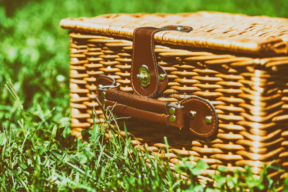 Similar – Picnic Basket Hamper With Leather Handle In Green Grass